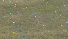 Egg Hunt