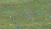 Easter egg hunts are organized by age group.